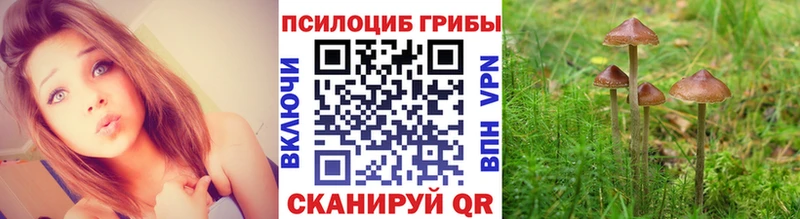 ссылка на мегу ССЫЛКА  Котельнич  Галлюциногенные грибы Magic Shrooms 